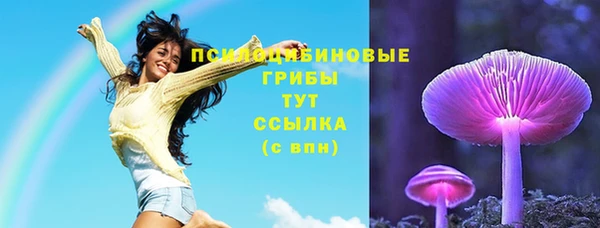 гидропоника Бугульма