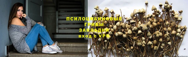 гидропоника Бугульма