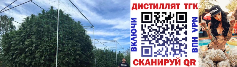 это Telegram  Микунь  ТГК жижа  купить наркотики сайты  hydra ONION 